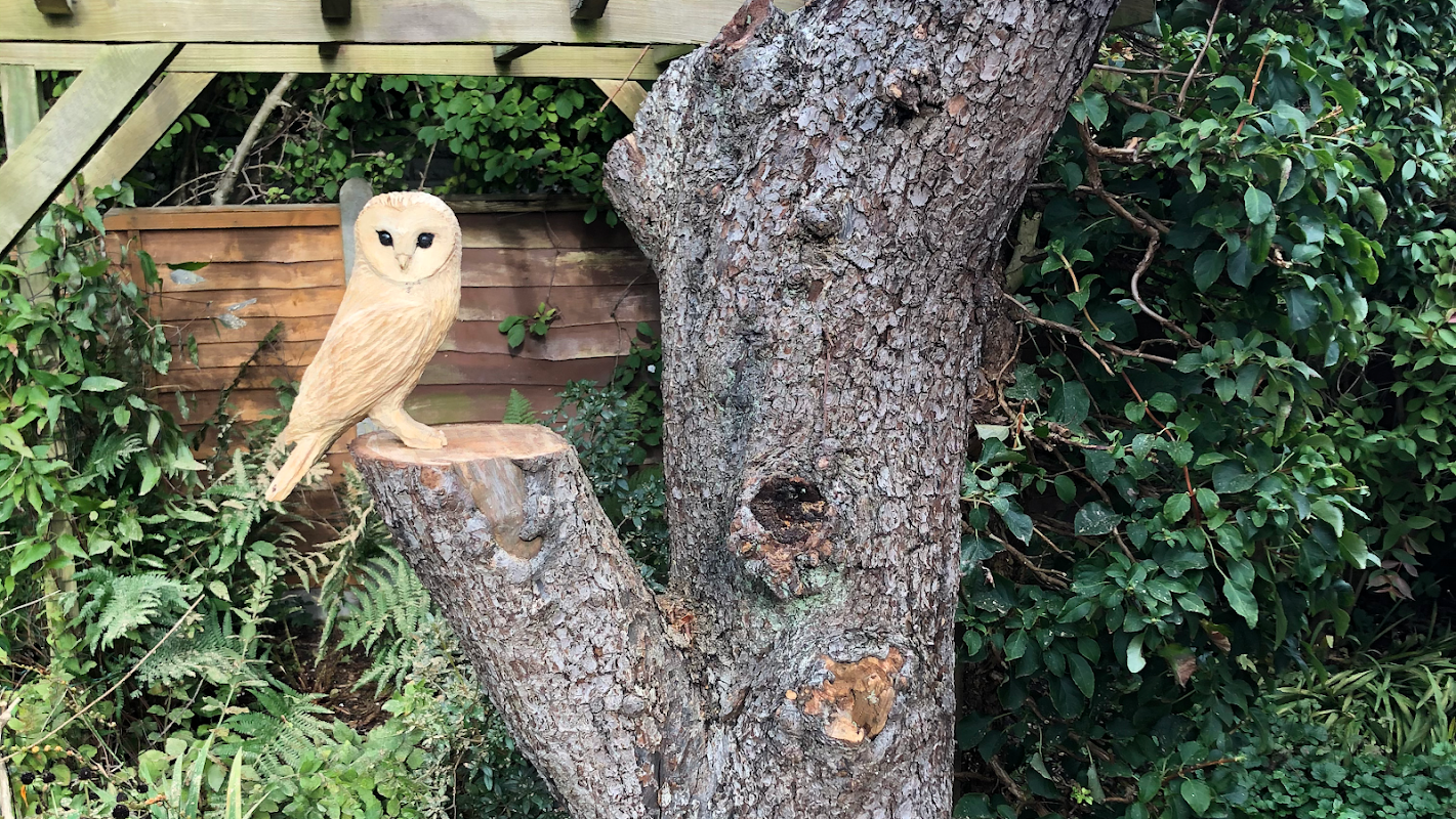 Frodsham Tree Solutions