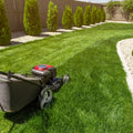 LAWN & HEDGE CARE