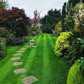 Perfect Gardens