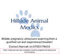 Hillside Animal Medics