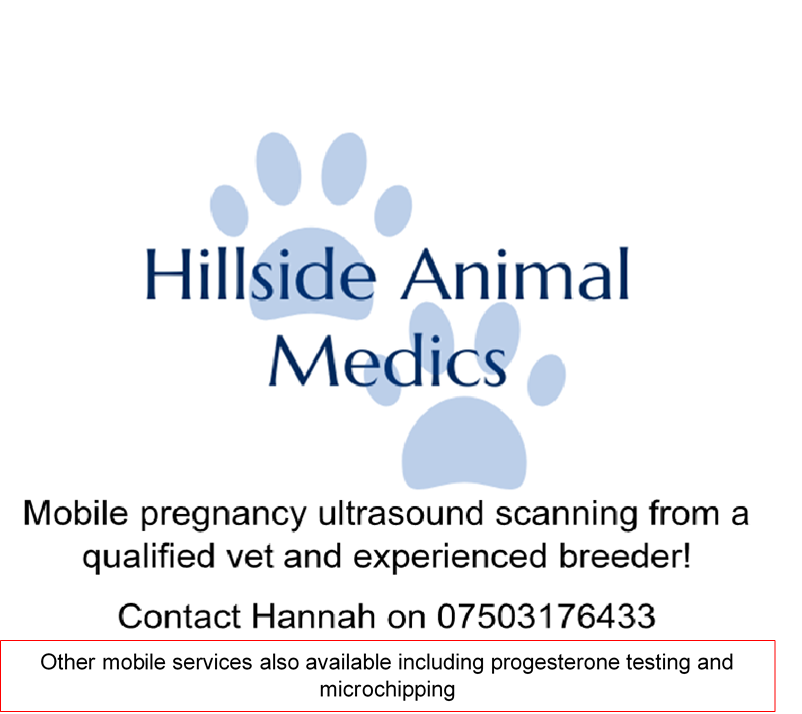 Hillside Animal Medics
