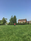 Portford Farm Boarding Kennels