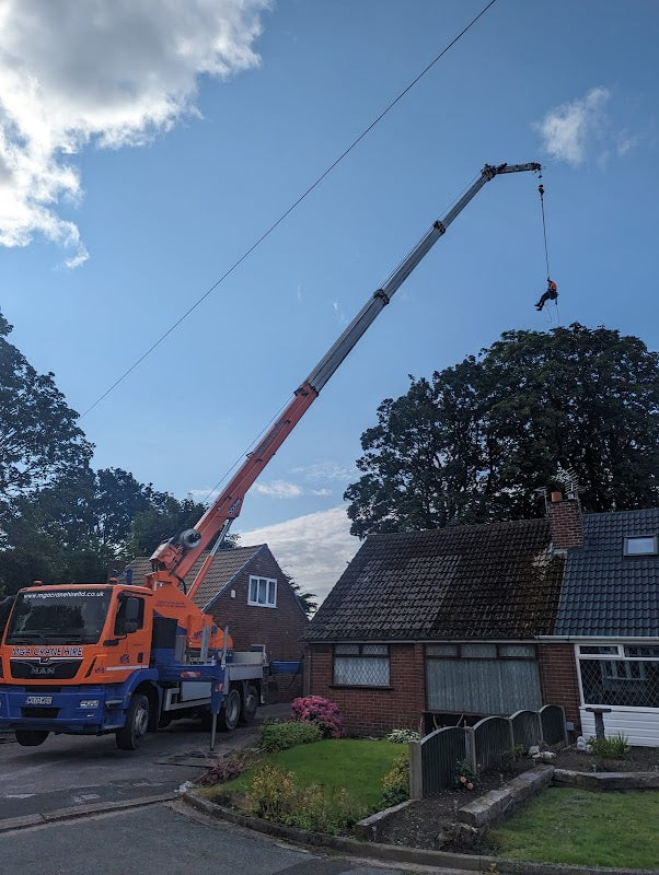 Morris Brown Arborist