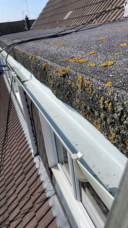 Pro Gutter Cleaning