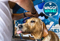 WaggyWashes Self Service Dog Wash