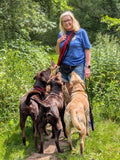 Aggie's Dog Walks and Pet Services Sandbach