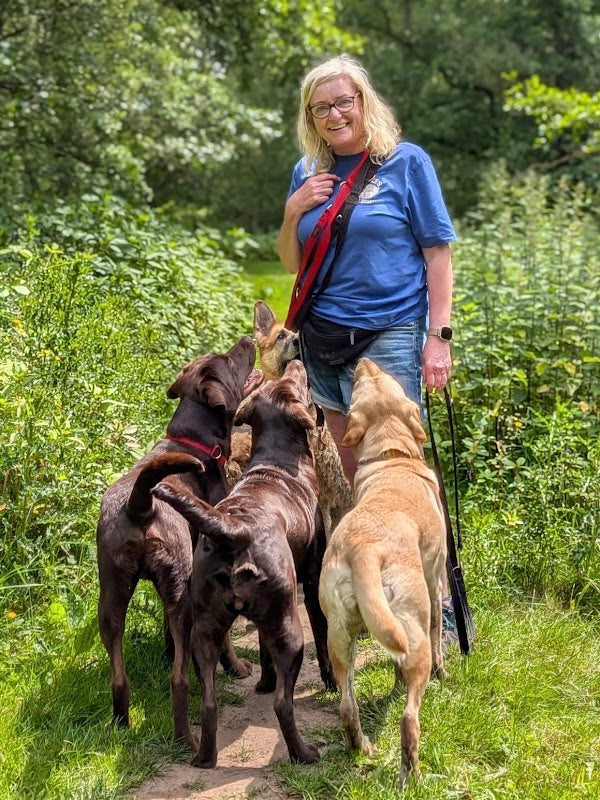 Aggie's Dog Walks and Pet Services Sandbach