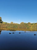 Middlewich Wharf