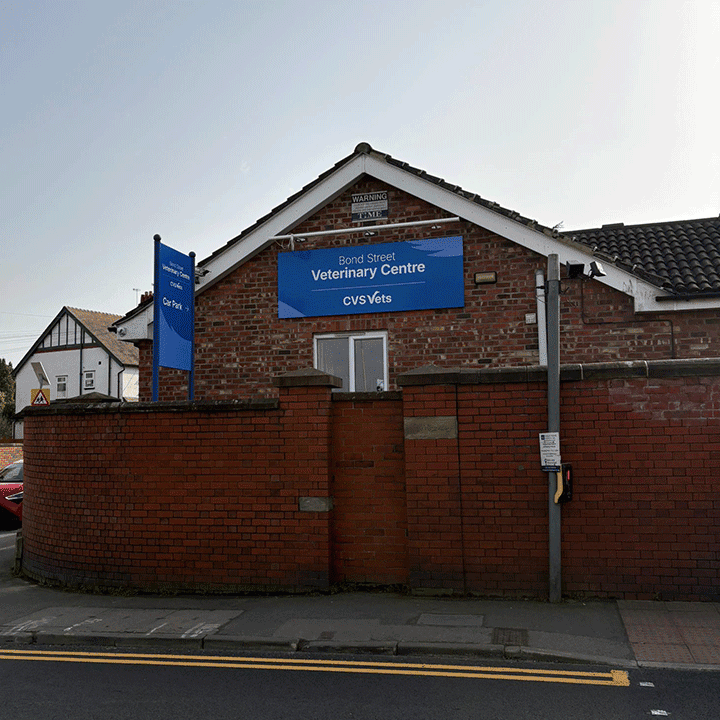 Bond Street Veterinary Centre