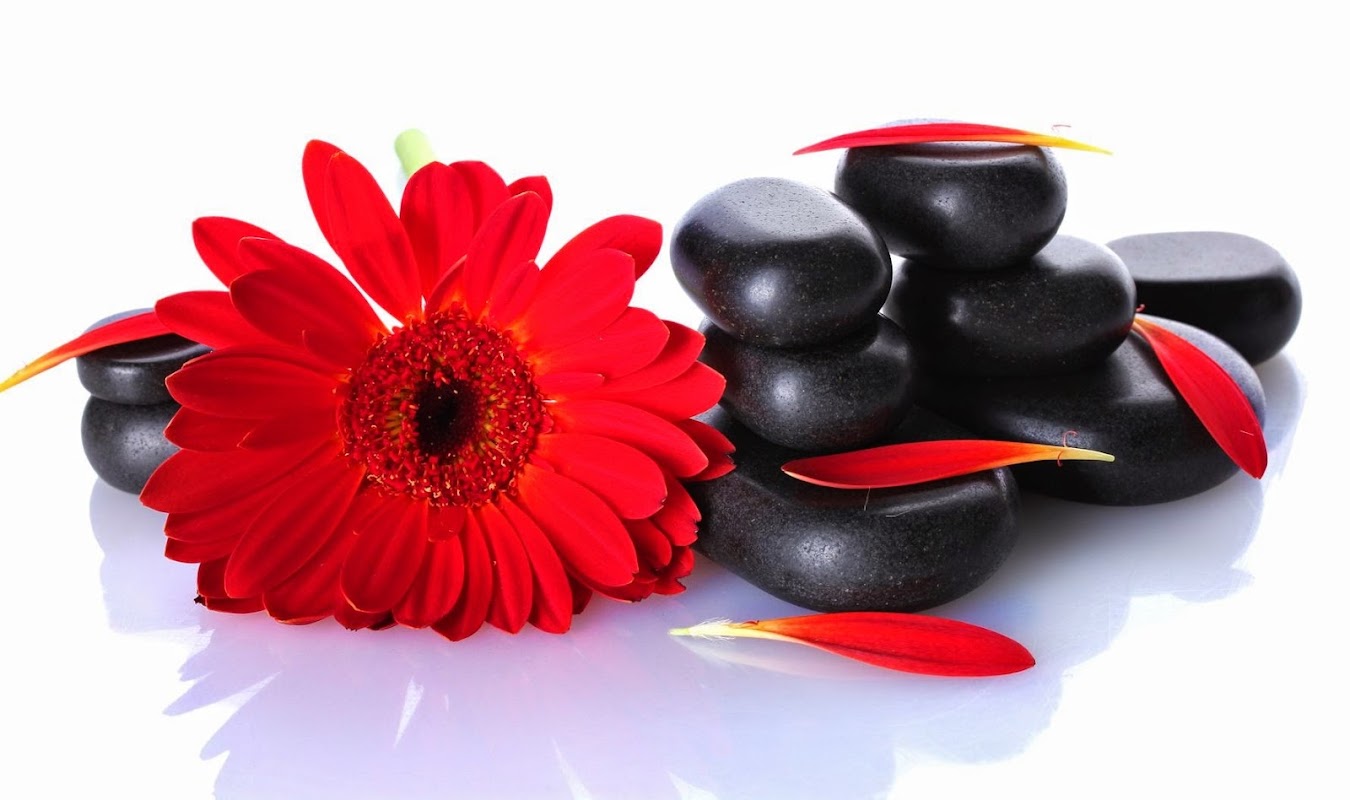 Lucy Dempster - Reflexology, aromatherapy, hot stone massage