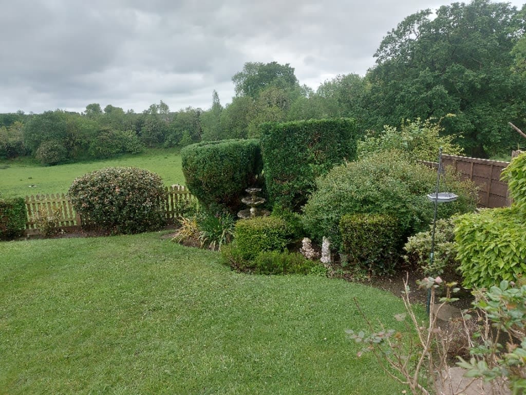 M&P Gardening