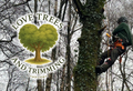 Love Trees and Trimming