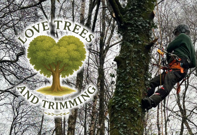 Love Trees and Trimming