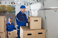 Expert Removals