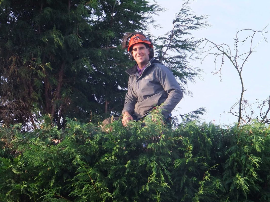 Alan Bethell Ltd Tree surgeons