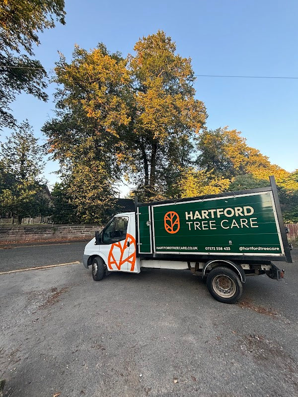Hartford Tree Care