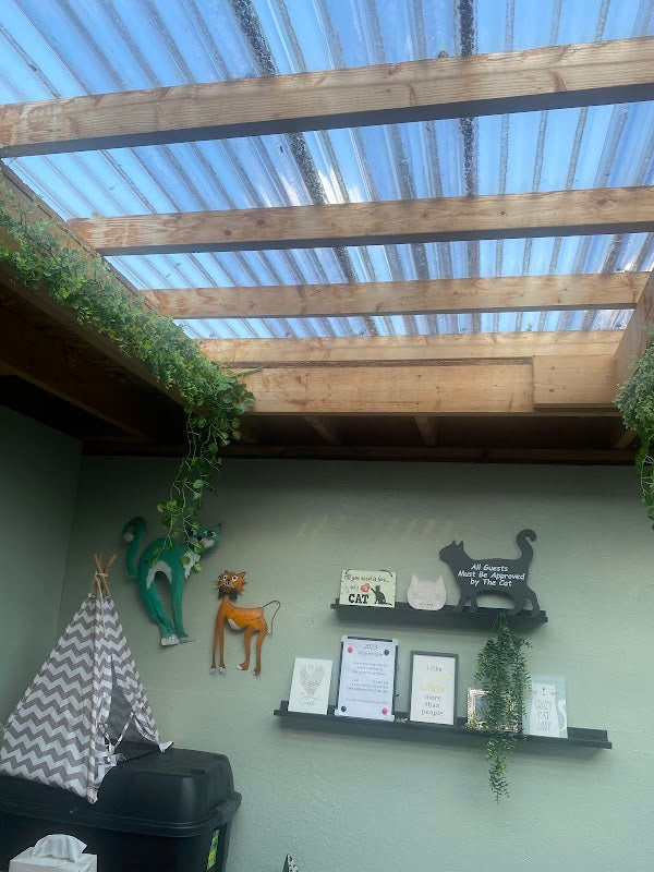 Carols Cattery