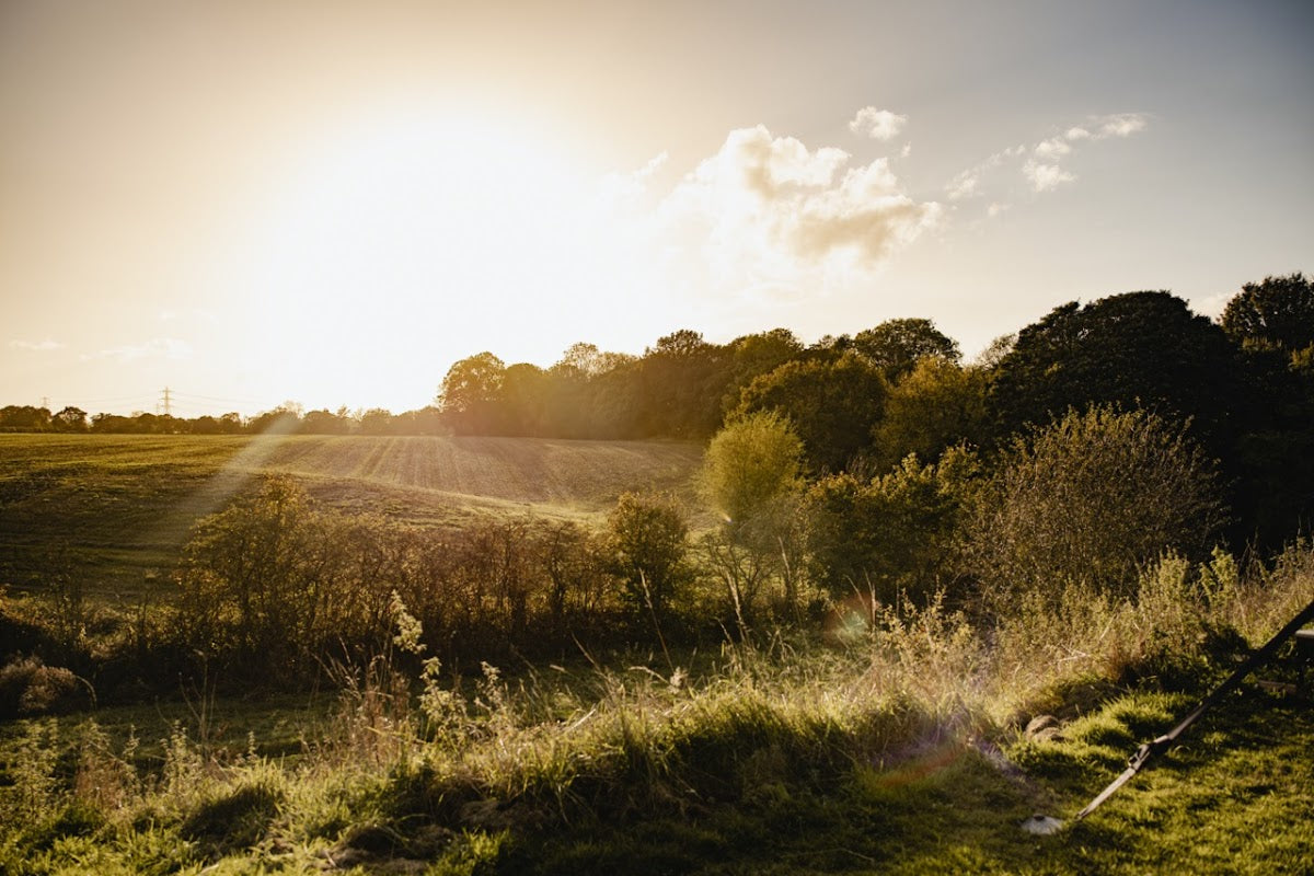 Millington Hall Farm
