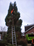 MCC Tree Care