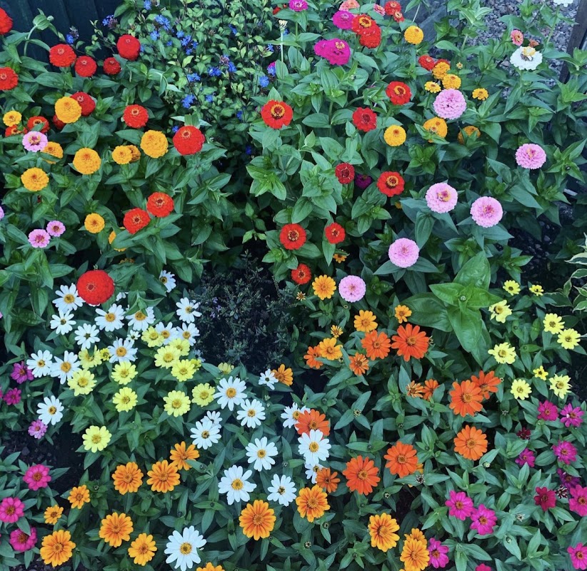 Secret garden