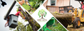 Tree Guys Chester - Tree Removal & Cutting Services