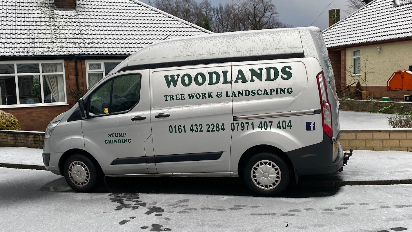 Woodlands Tree Work