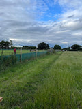 Off the Leash Dog Parks