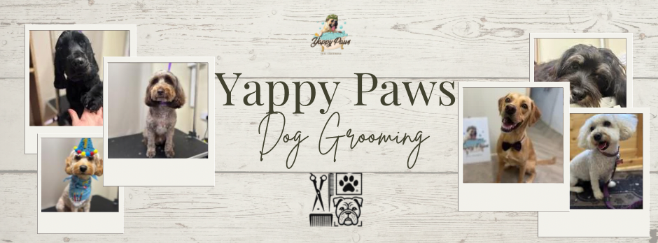 Yappy Paws