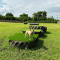The Dogs Paddocks