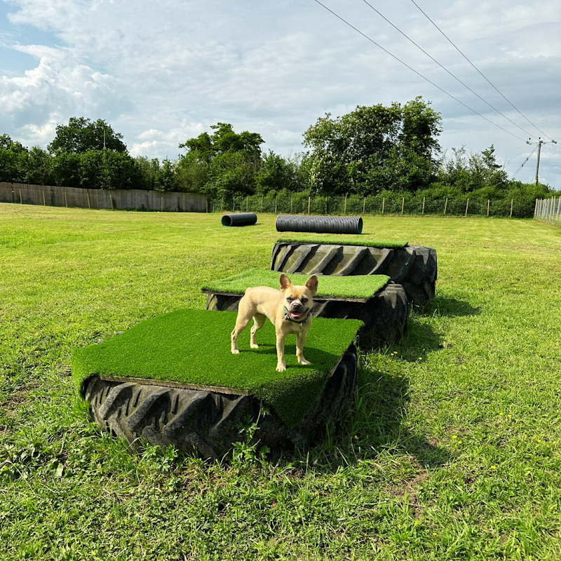 The Dogs Paddocks
