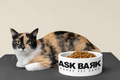 Ask Bark