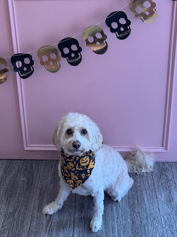 Natalia's Dog Grooming