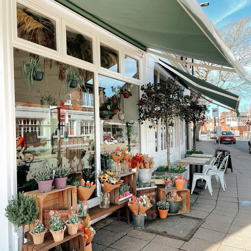 The Little Garden Florist and Plant Shop