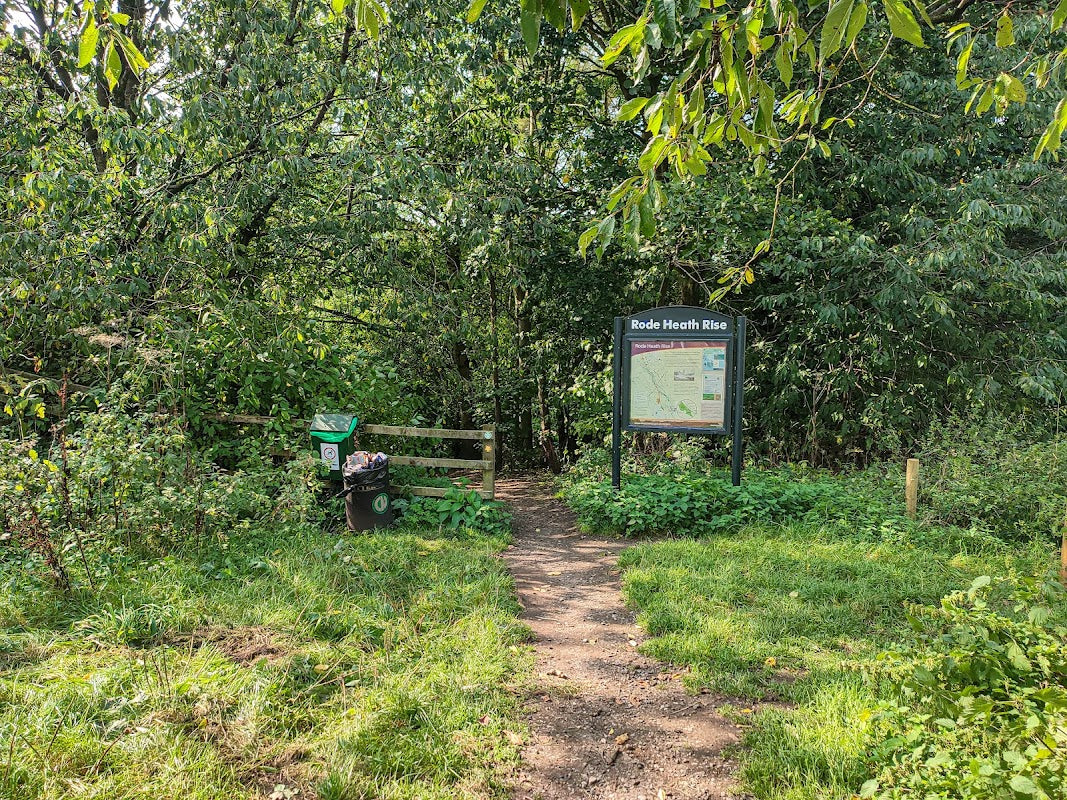 Lawton Valley Kennels & Cattery