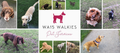 WA15 Walkies