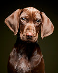 teneight - Commercial Photographers