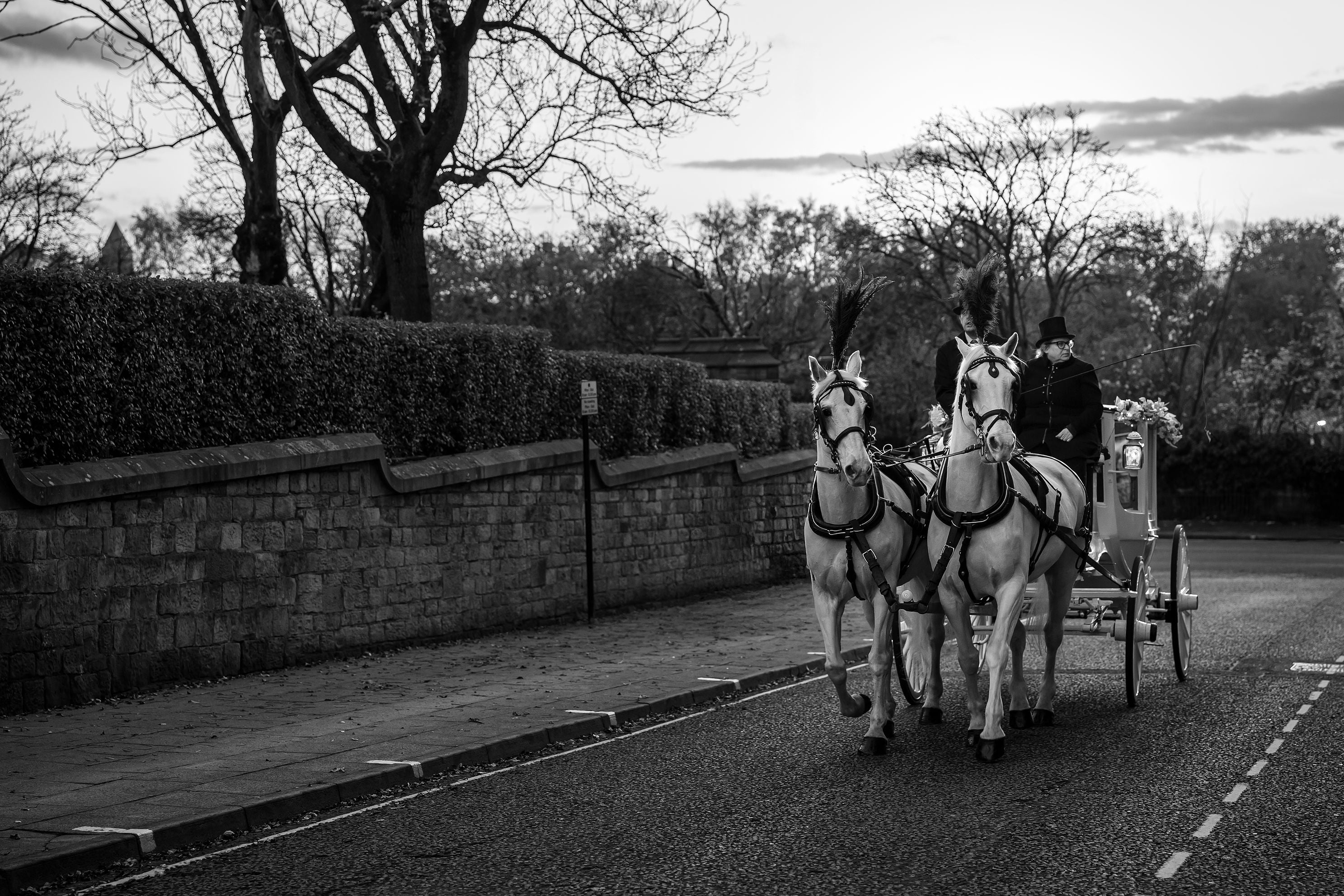 Stenhouse photography studio's and weddings