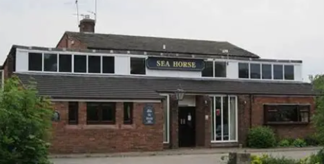 The Seahorse
