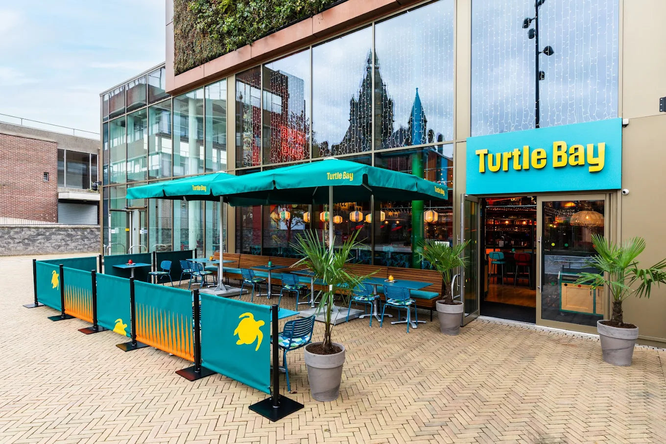 Turtle Bay